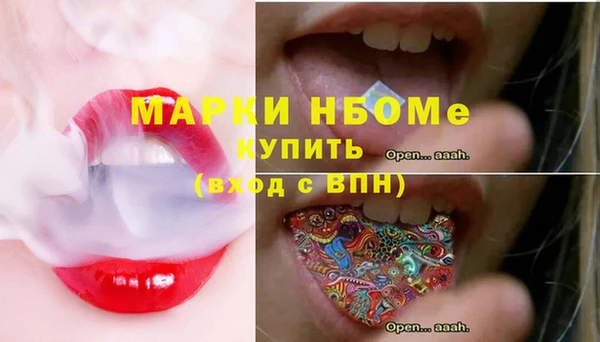 гашик Алексеевка