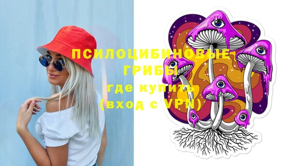 гашик Алексеевка
