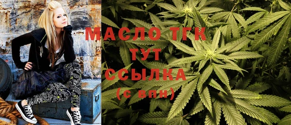 гашик Алексеевка